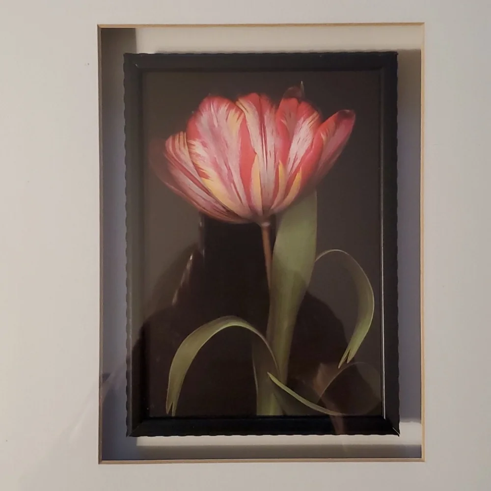 Z Gallerie Wall Art